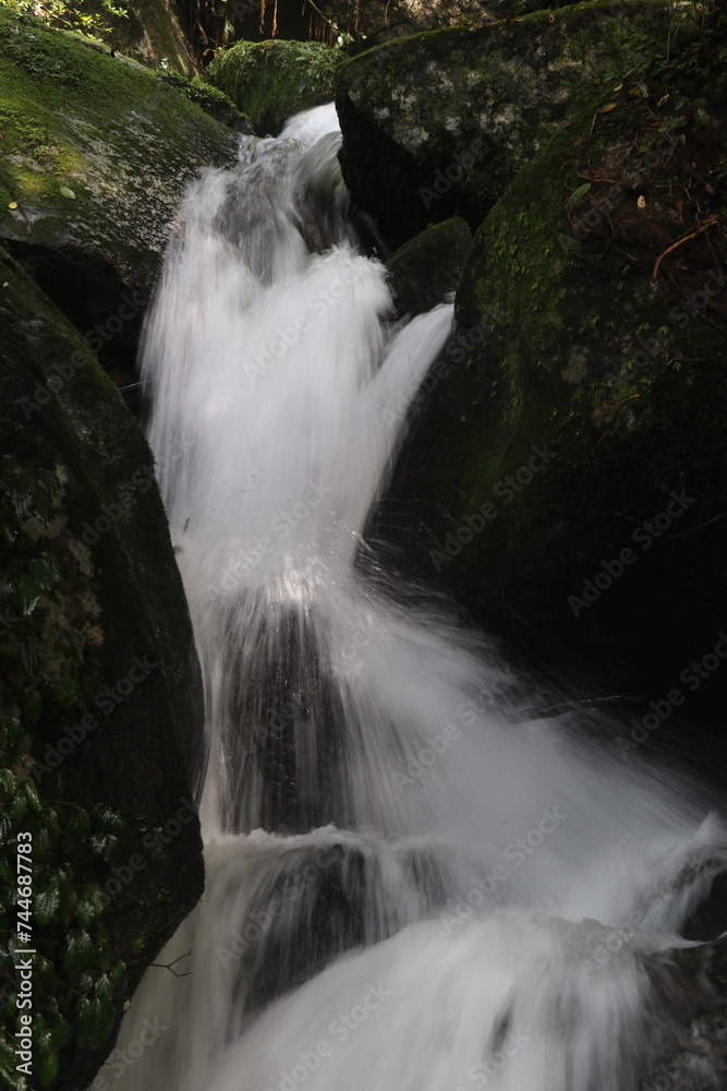 Obraz premium waterfall in the forest