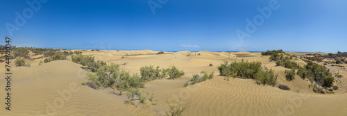 Dünenlandschaft auf der Insel Gran Canaria