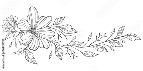 hand drawn sketch of flowers. Sketch Floral Botany Collection. flower drawings. Black and white with line art on white backgrounds. Hand Drawn Botanical Illustrations.Vector.