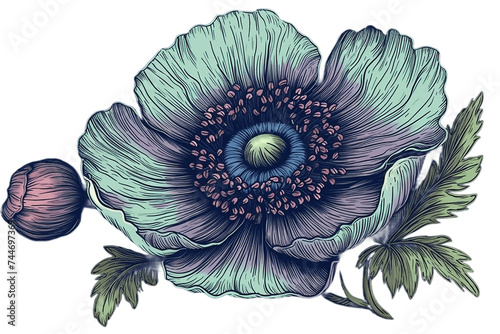 Anemone transparent background. Generative AI  