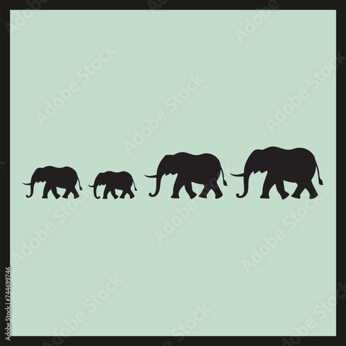 elephants on a white background, animals illustration