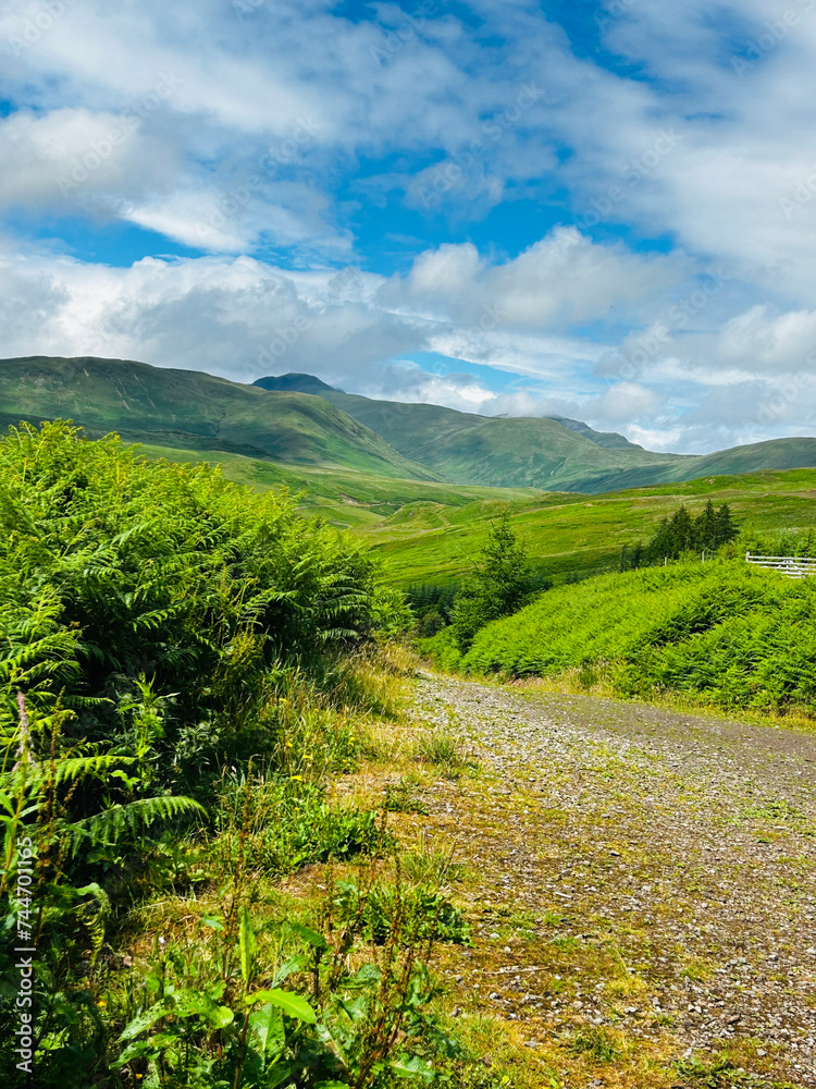 Fototapeta premium landscape with grass and blue sky