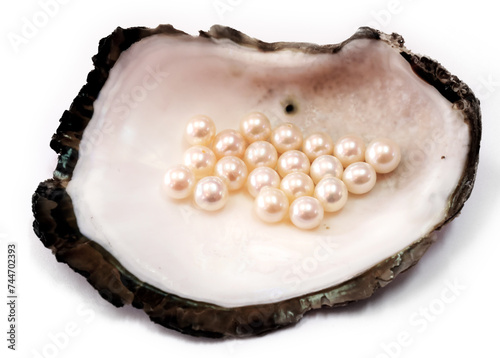 Oyster shell with white pearls