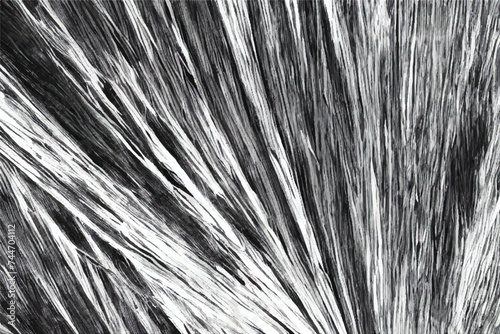 Black and white broom stick. Close up detail of a broom texture. Grunge texture of dry grass. Black grunge texture.