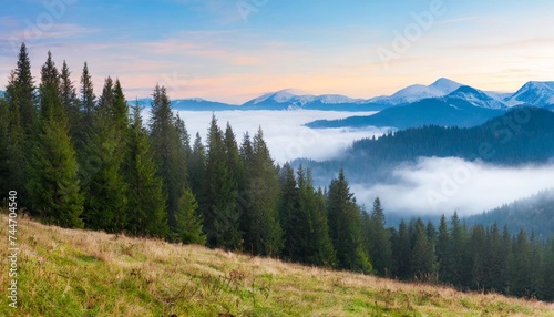foggy morning in the mountains beautiful landscape with coniferous forest