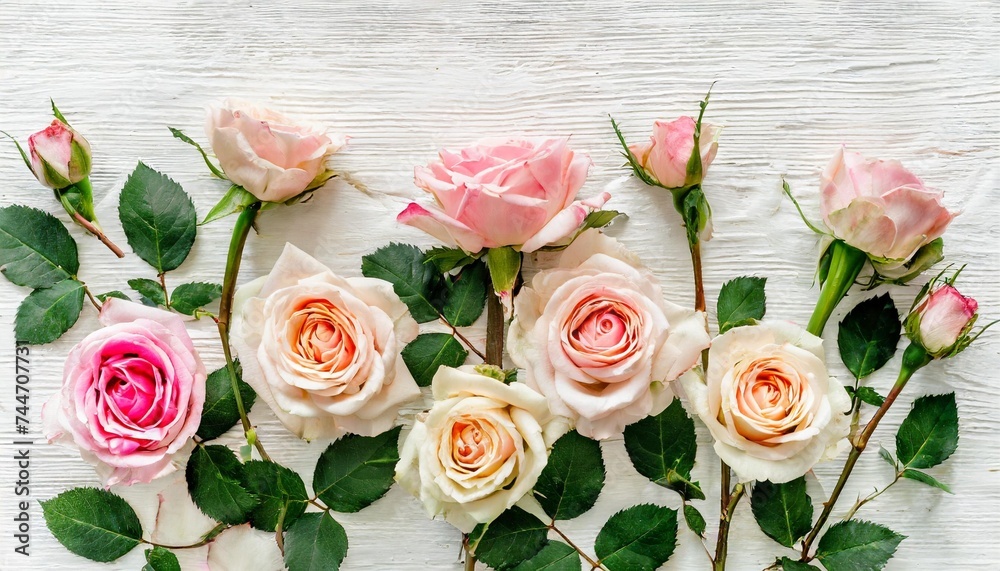 flower pattern made of pink beige roses flower buds on white background flat lay top view