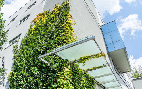 Vertical garden and living green walls design on buildings.