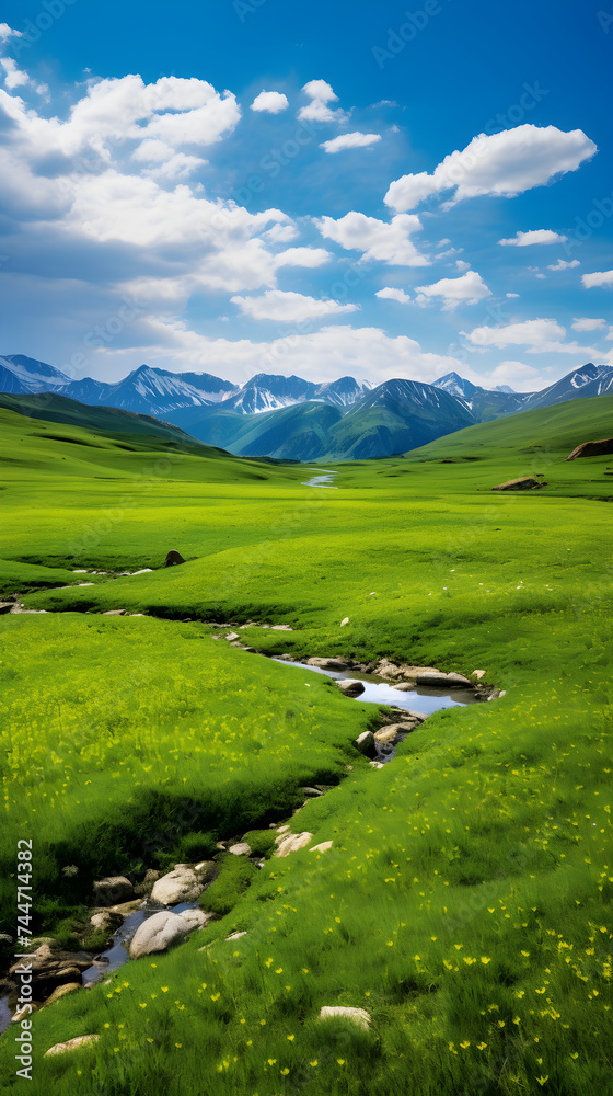 The Splendid Serenity of Nature - Vibrant Grasslands Against Majestic Mountains and Blue Skies