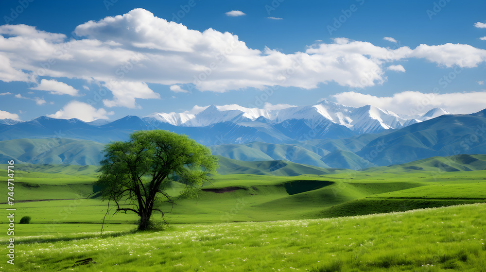 The Splendid Serenity of Nature - Vibrant Grasslands Against Majestic Mountains and Blue Skies