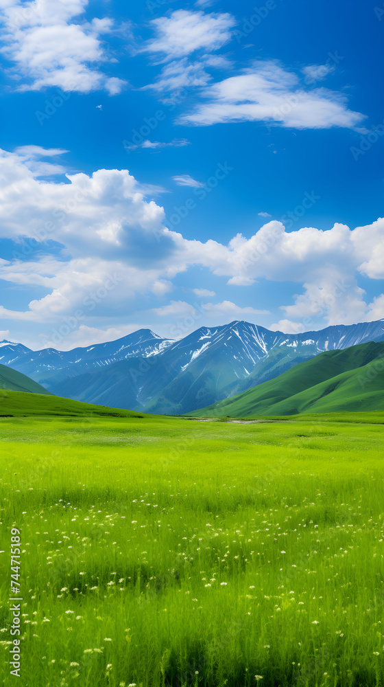 The Splendid Serenity of Nature - Vibrant Grasslands Against Majestic Mountains and Blue Skies