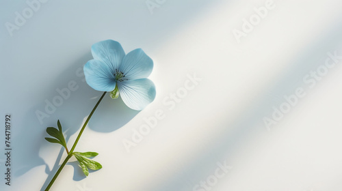 a single blue flower sitting on top of a white table next to a green leafy stem on a white surface.