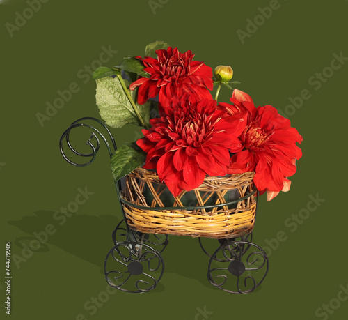 photo of beautiful flower arrangement of red decorative dahlias photo