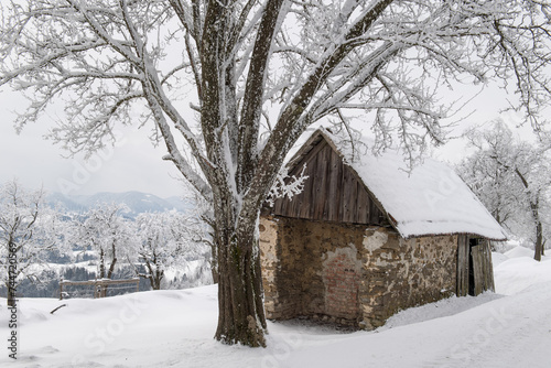 Mostviertel in winter dress © Herbert