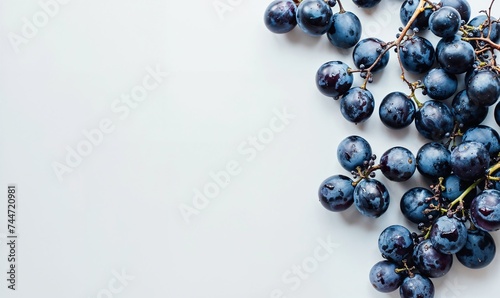 Fresh healthy concord purple red grapes on a white background, shot from above, isolated. Space for copy. photo