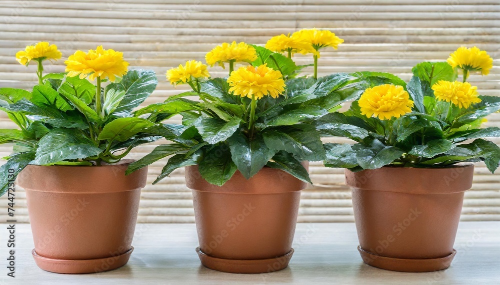 artificial plants with yellow flowers in pot with transparent png background