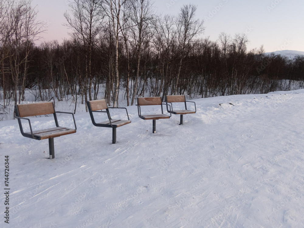 Single seating benches on a row next to the ski trail.