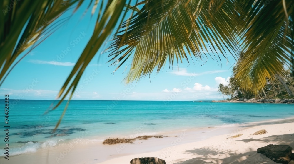 A peaceful scene of a dog laying under a palm tree on the beach. Suitable for travel and relaxation themes