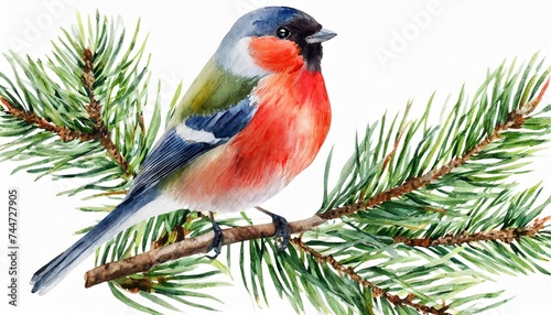 watercolor christmas bird on a branch isolated clipart