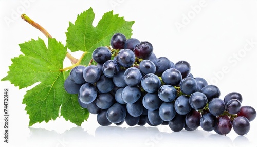 dark black grape with leaves over white wet fruit clipping path full depth of field ripe blue grapes on branch with green leaves isolated on white background png
