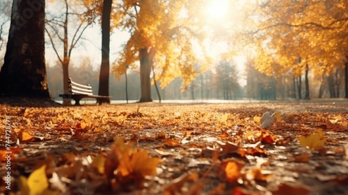 A peaceful park bench surrounded by autumn leaves, suitable for nature or relaxation concepts