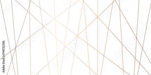 Abstract brown diagonal lines and luxury elegant pattern background .random chaotic line and creative geometric shape background .modern technology premium line on transparent background .
