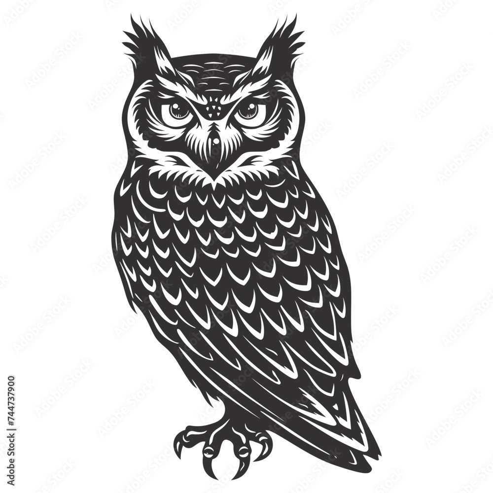 Fototapeta premium Silhouette owl animal black color only full body 