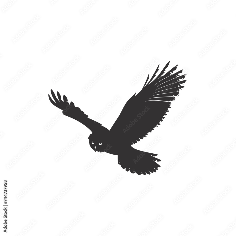 Silhouette owl animal fly black color only full body Silhouette owl animal fly black color only full body