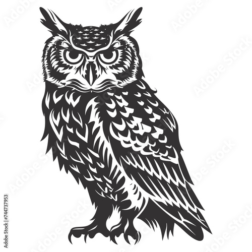 Silhouette owl animal black color only full body 