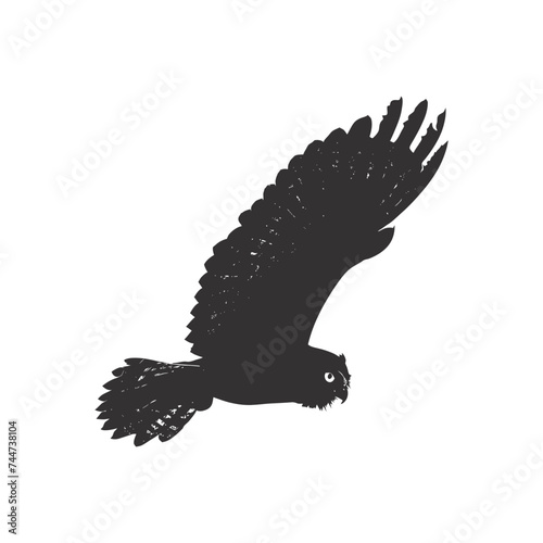 Silhouette owl animal fly black color only full body 