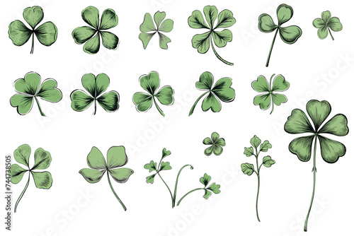 Various illustrations of clovers and shamrocks with different shapes and sizes photo