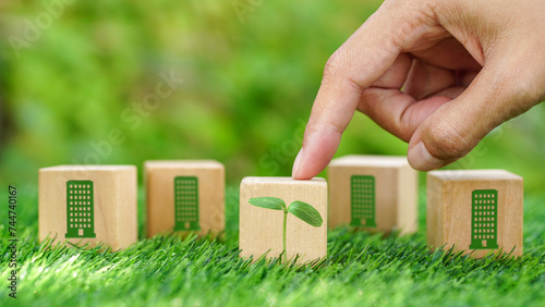 Hands point on growing tree on wooden cube with green building symbols on blocks over grass background for natural friendly, Conservation ecological business.CSR, ESG ecosystems reforestation concept.
