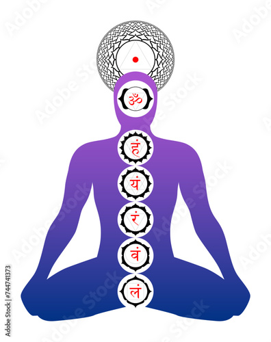 Position of the main chakras in the body. Silhouette of a body in yoga position,with symbols of seven main chakras, depicted with lotus flower petals, geometric figures and seed syllables in Sanskrit.
