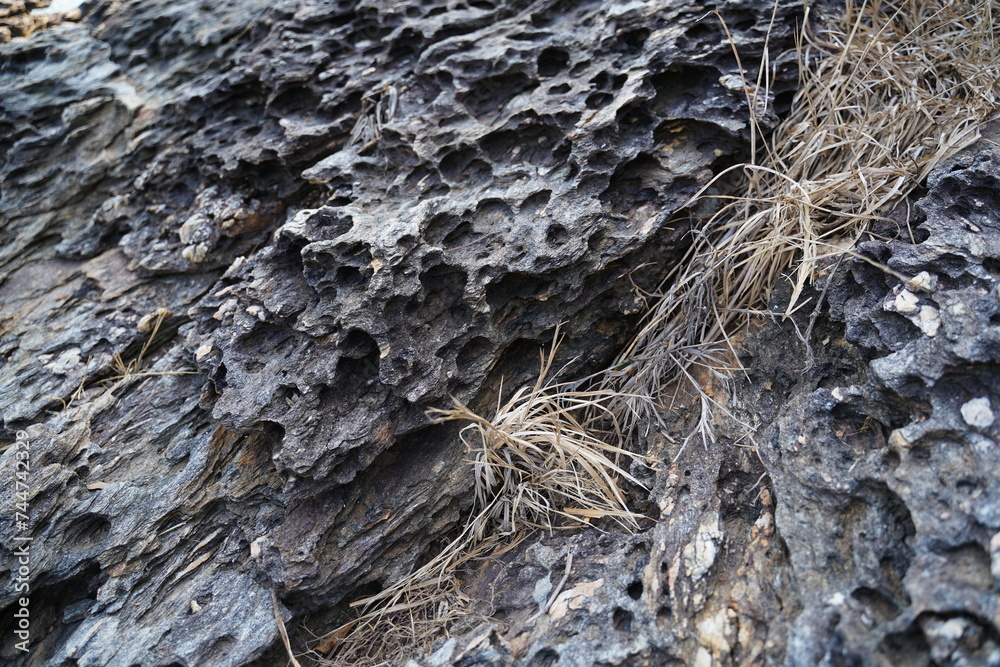 The natural texture of rock, stone, and earth. Background for the design.