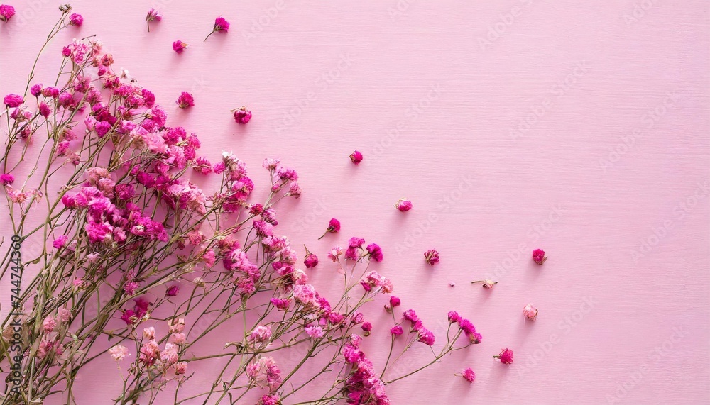 dry pink flowers gypsophila on pink background flat lay top view copy space - obrazy, fototapety, plakaty 