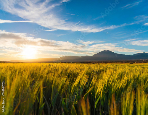 Beautiful sunset over a field in Santa Fe  New Mexico