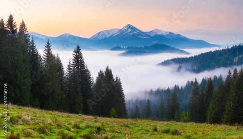 foggy morning in the mountains beautiful landscape with coniferous forest © Deven
