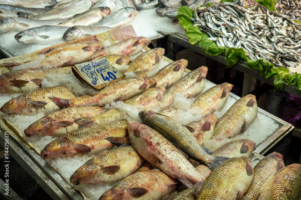 Carp, a freshwater fish for sale at the fishmonger's stall,