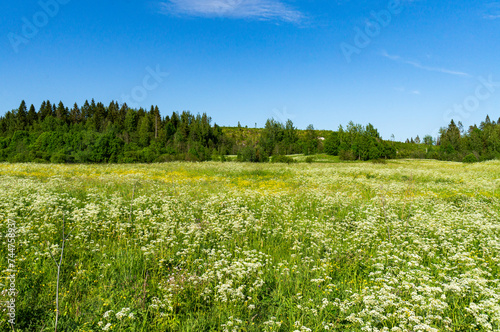 A green field under a blue sky.