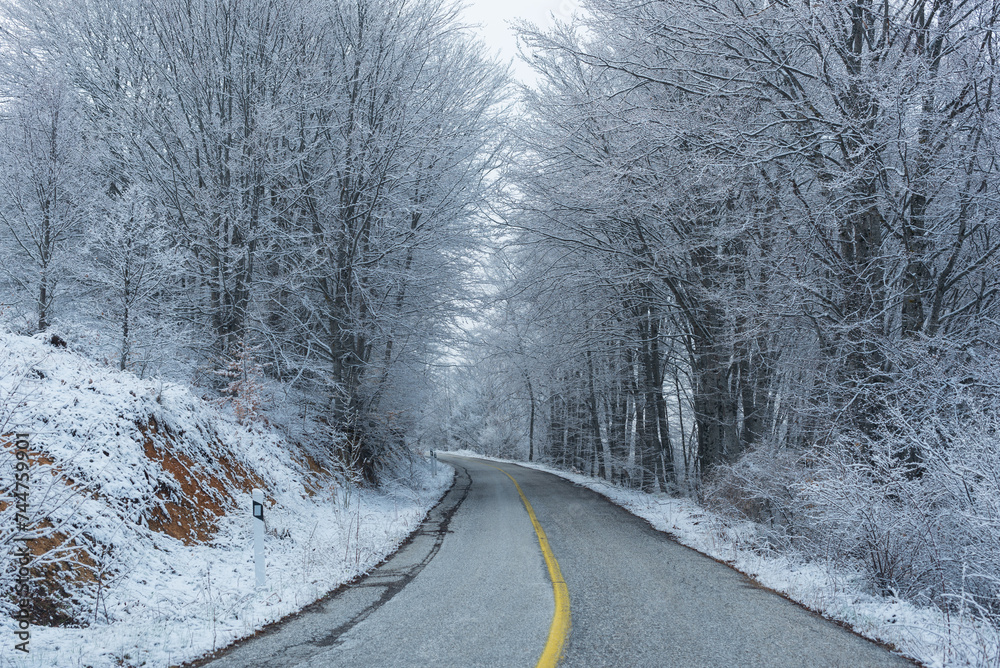 road in winter road in winter