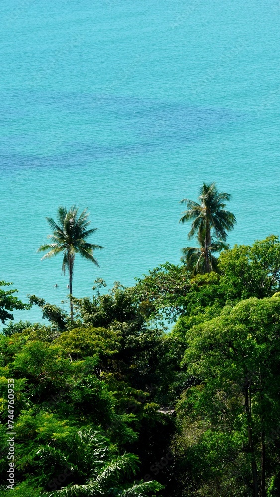 Turkusowa woda Tajlandia rajska plaża z palmami dwie palmy z oceanem. Koh Chang Thai