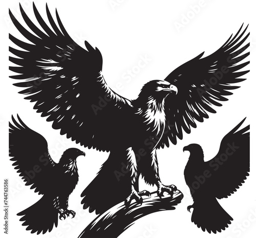 eagle silhouetee photo