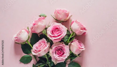 pink rose flowers bouquet on pink background flat lay top view minimal floral composition