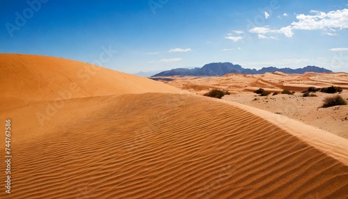 y Desert sand landsacpe