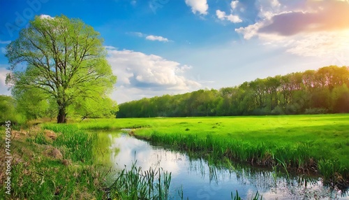 spring nature beautiful landscape green grass and trees