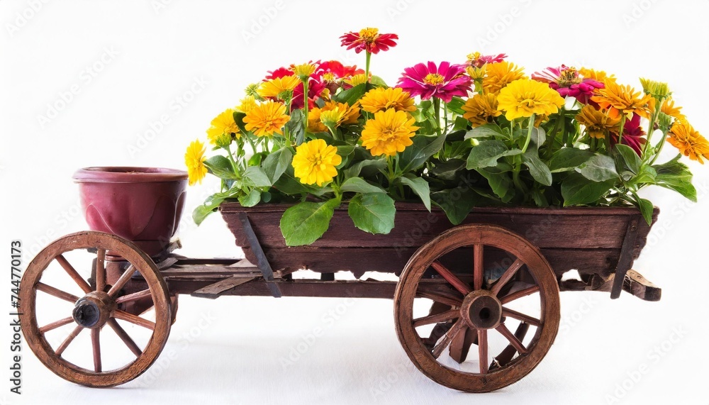 wagon flowers isolated