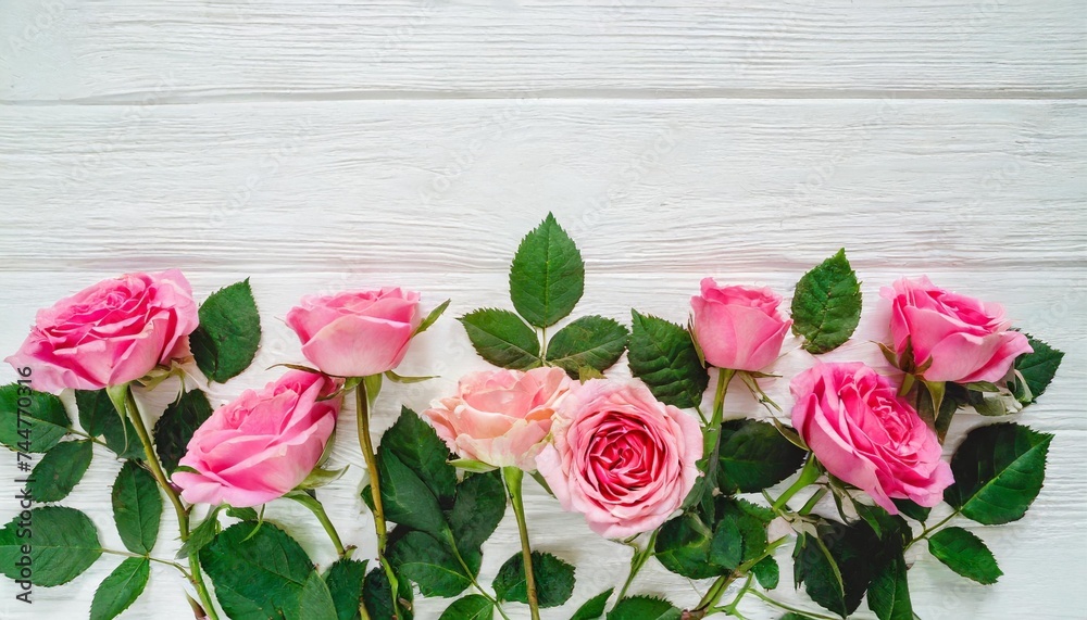 flowers pink roses with leaves on a white background with space for text top view flat lay