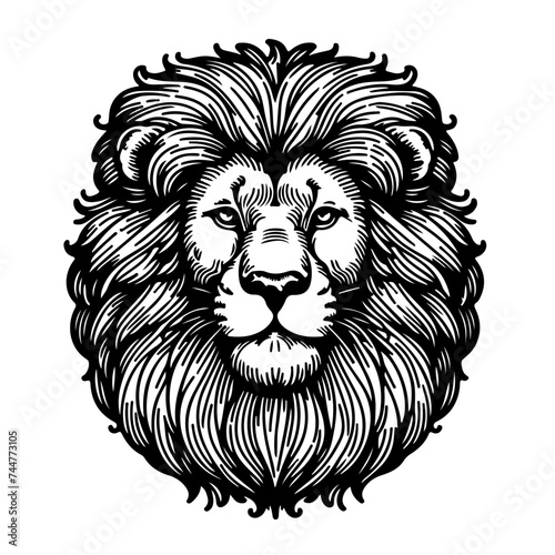 Lion head. Coloring book page for adults and kids. Animal portrait
