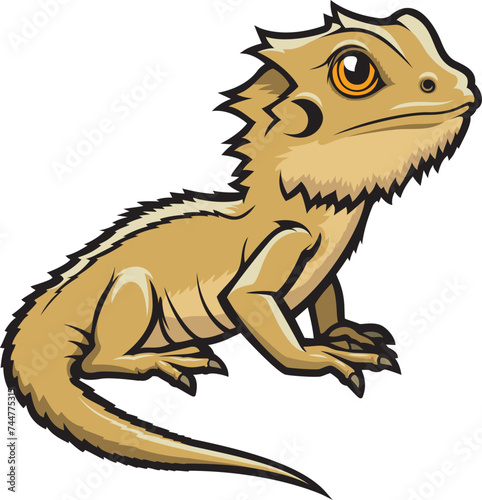 Baby Bearded Dragon