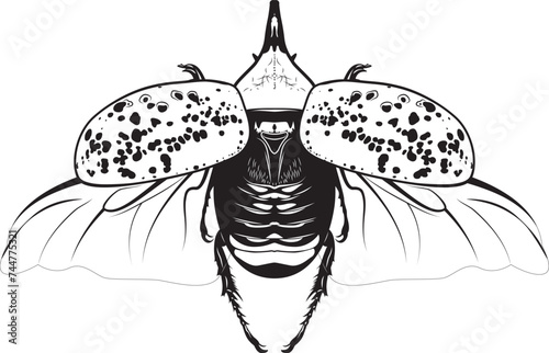 Flying Beetle