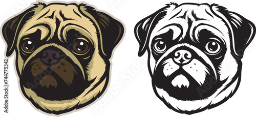 Pug Dog Front-Side Facing